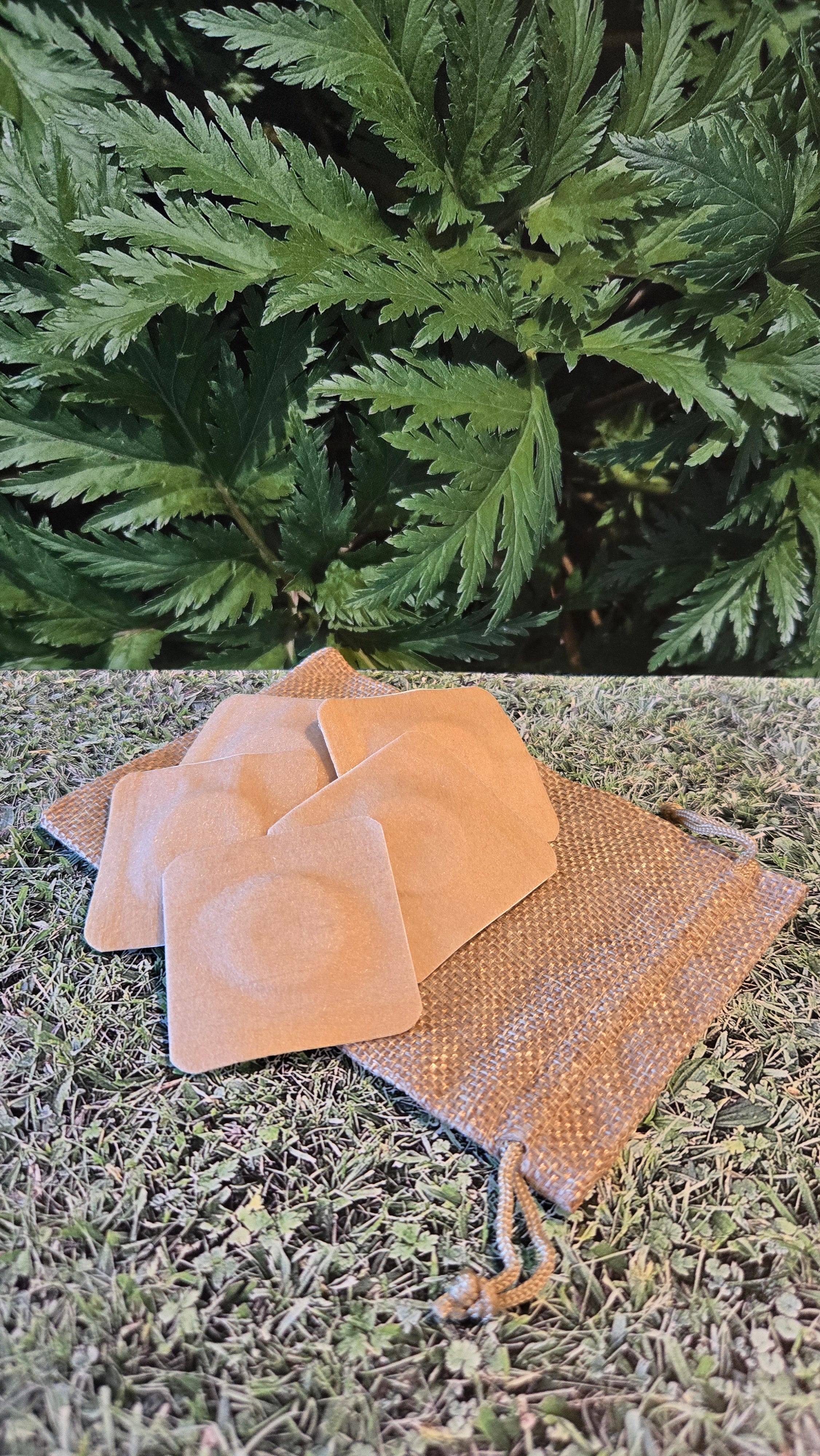 Castor Oil Patches (5 pieces)